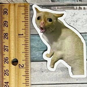 🌀10/$10🌀 Cat Reusable Waterproof Vinyl Sticker Decal